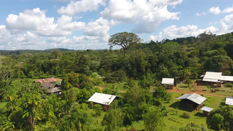 Luftaufnahme-Eines-Riesenbaums-(Ceiba-Pentandra)-Saül-Village-Guayana-Amazonas-Park
